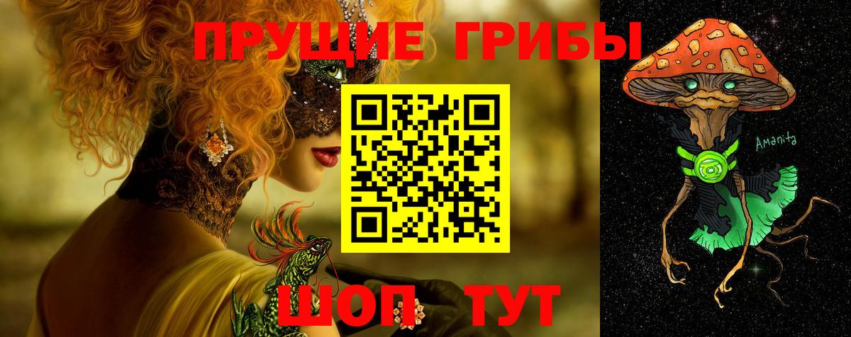Галлюциногенные грибы Psilocybe Шелехов